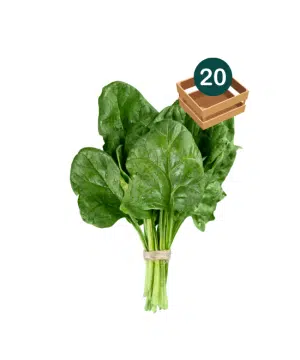 Fresh Spinach Box (x20*)